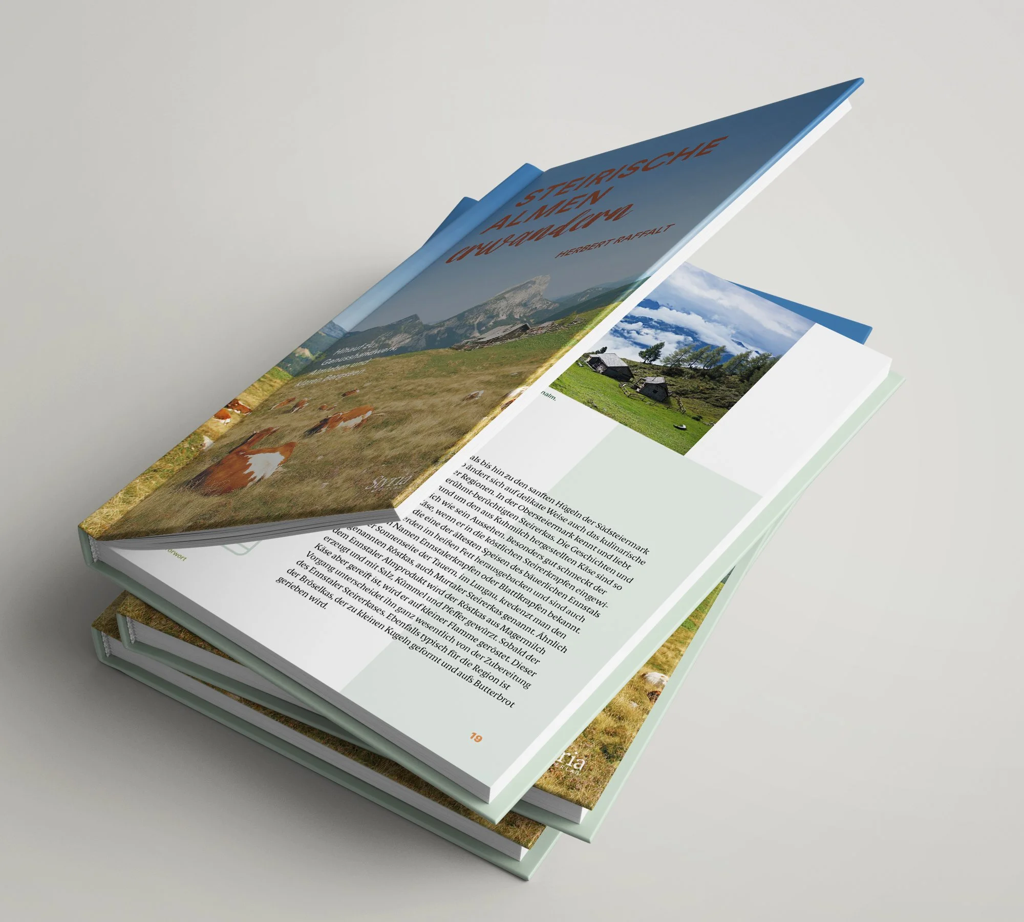 Book_Mockup_05 Kopie.jpg