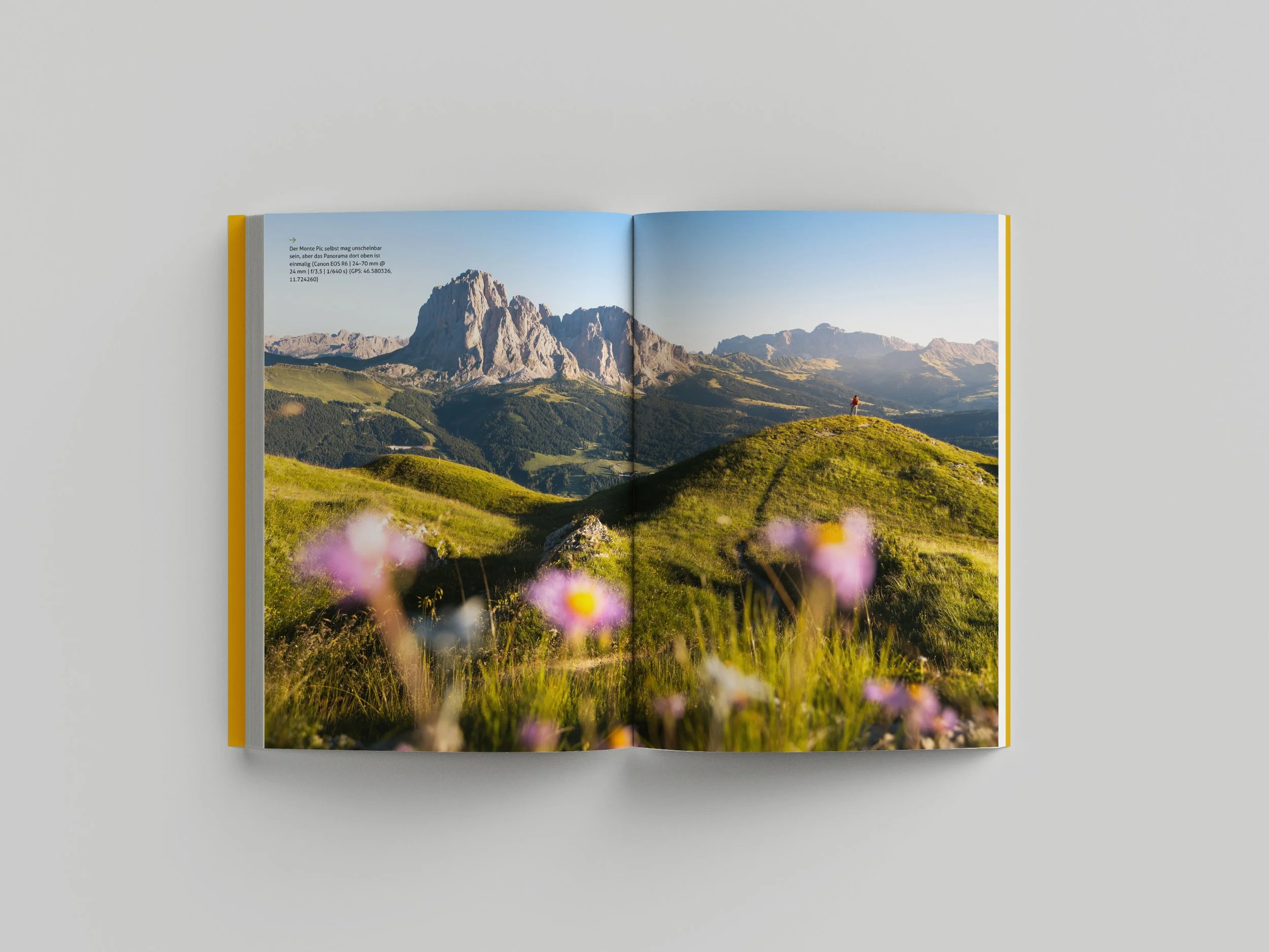 Free_Book_Mockup_7 kleiner.jpg