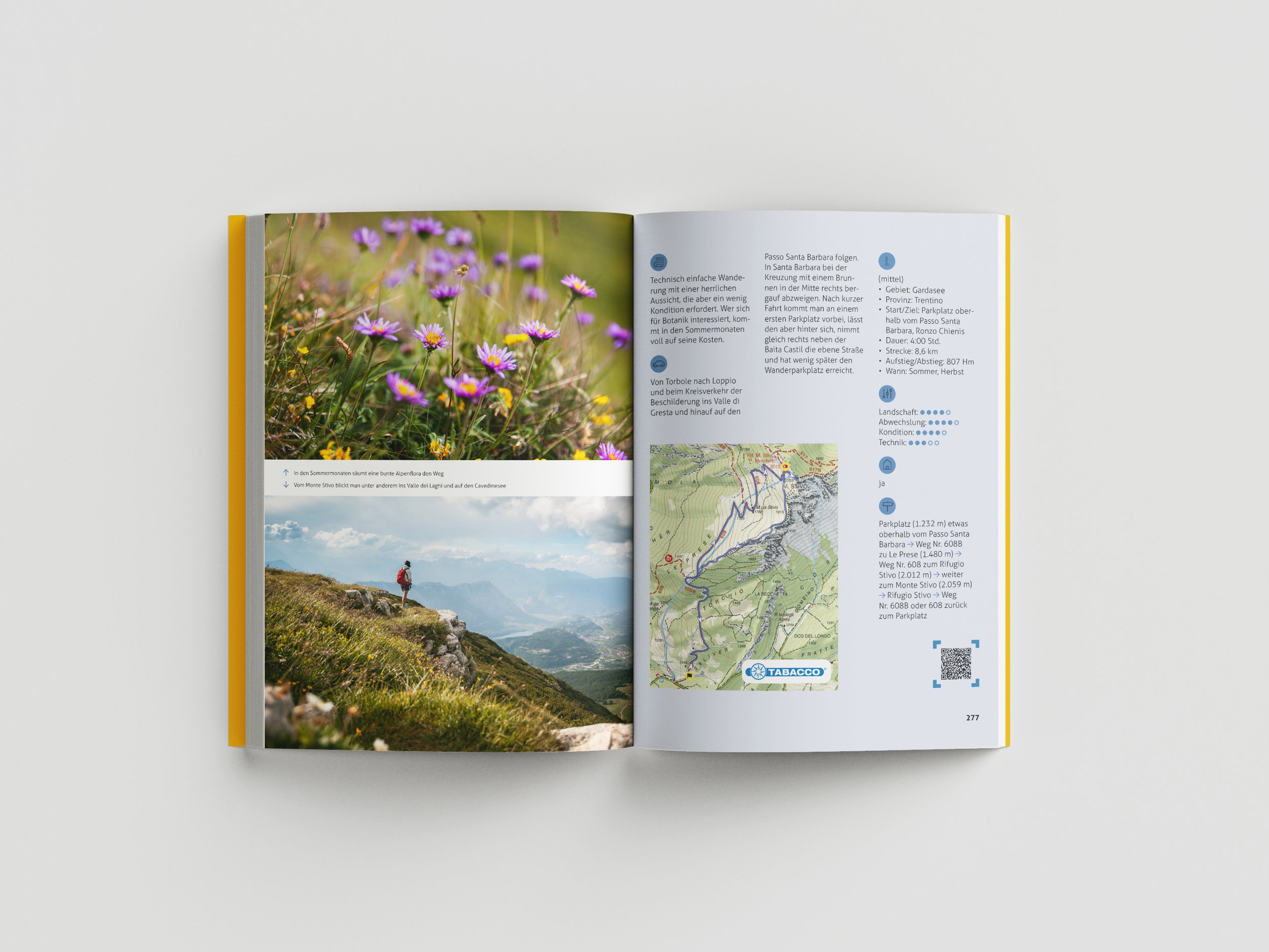 Free_Book_Mockup_72 Kopie.jpg