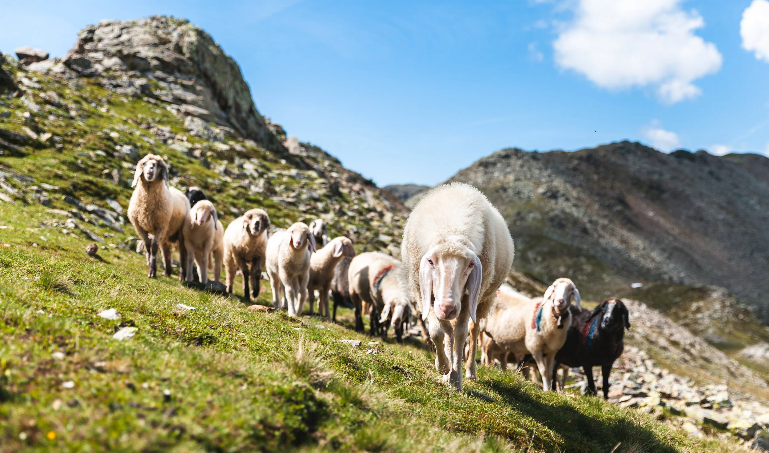 3 _MG_8894-Bearbeitet.jpg