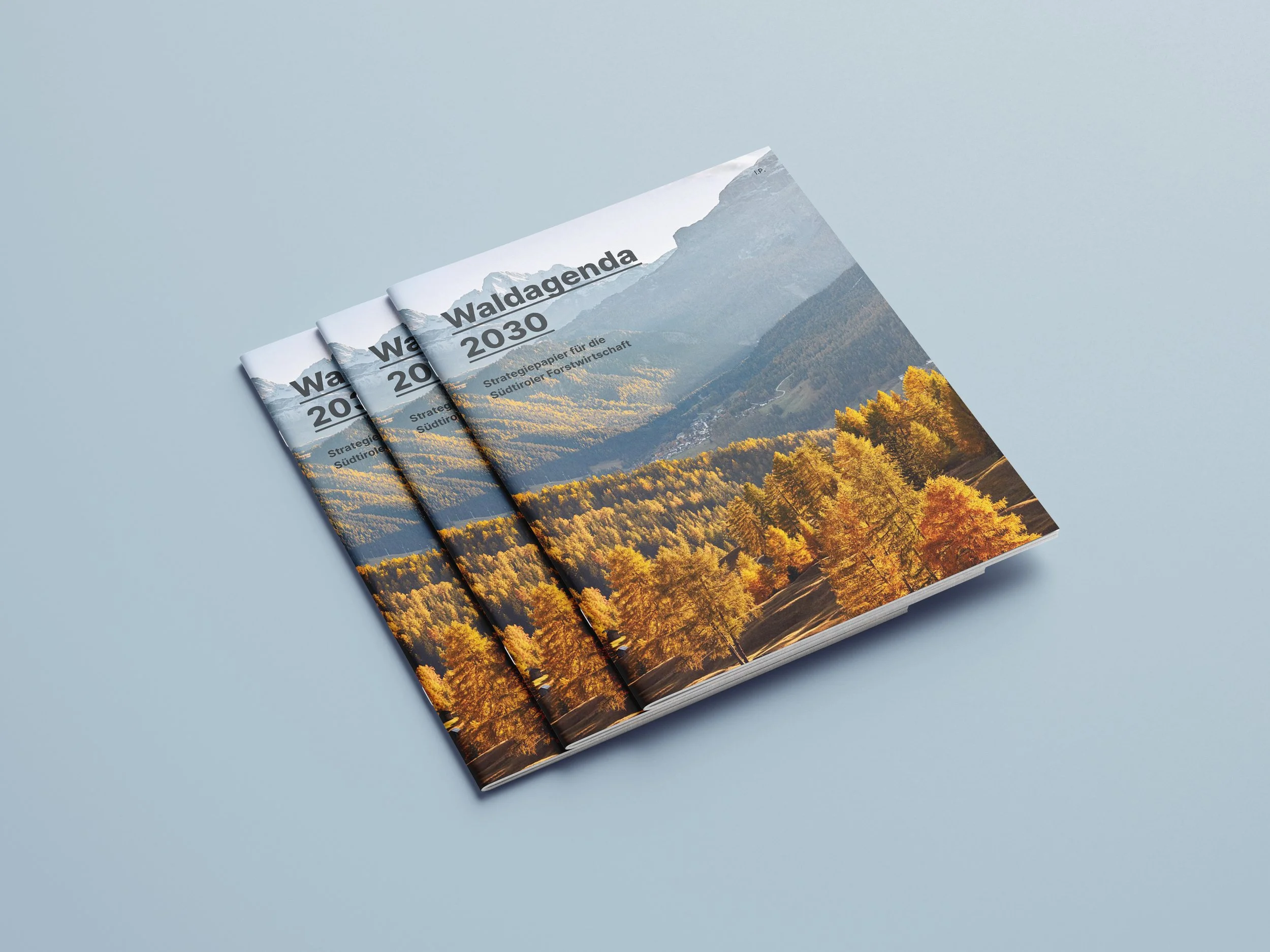 Free_Letter_Catalog_Mockup_02 Kopie.jpg