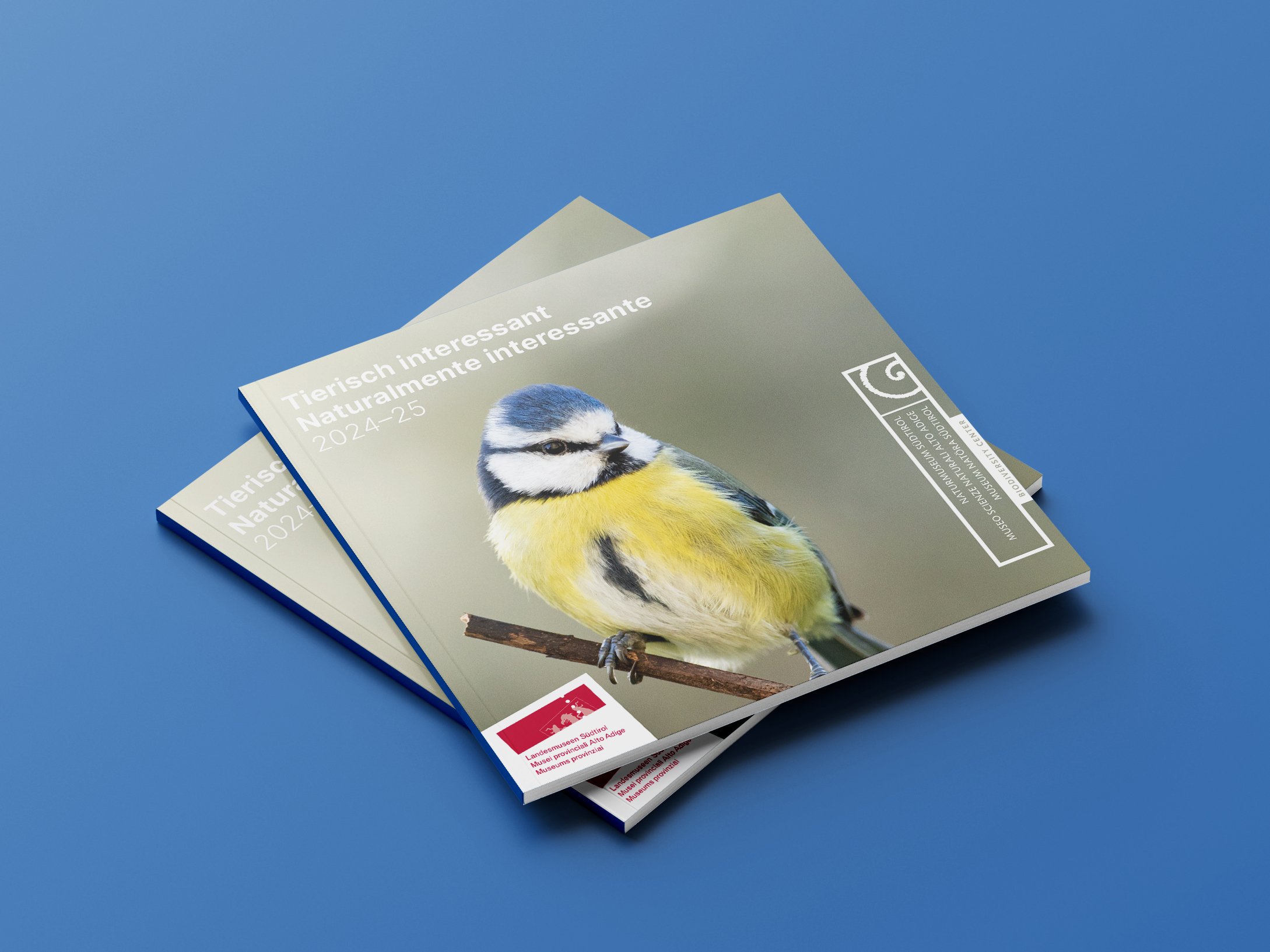 Perfect_Binding_Brochure_Mockup_3 Kopie.jpg