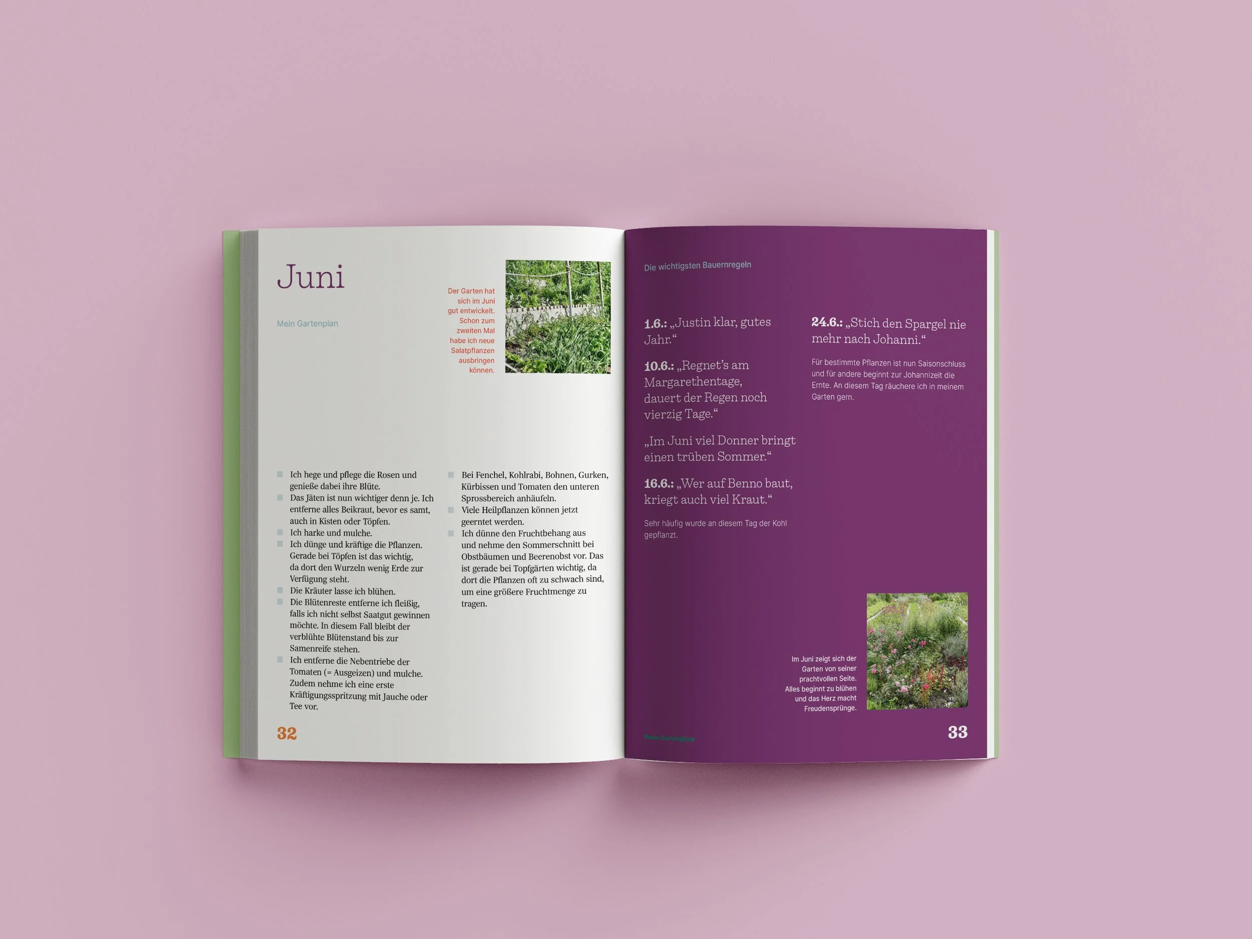 Free_Book_Mockup_7-2 Kopie.jpg