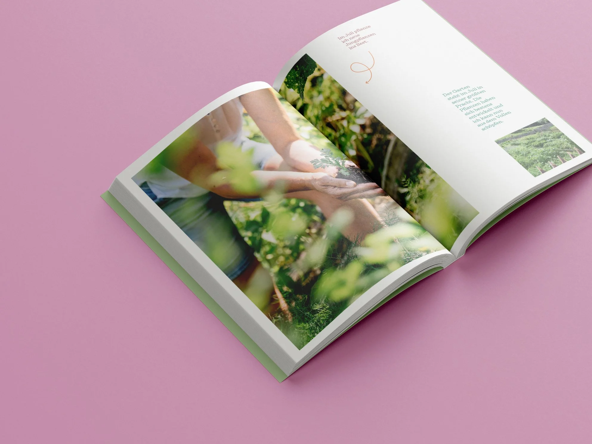Free_Book_Mockup_6-2 Kopie.jpg