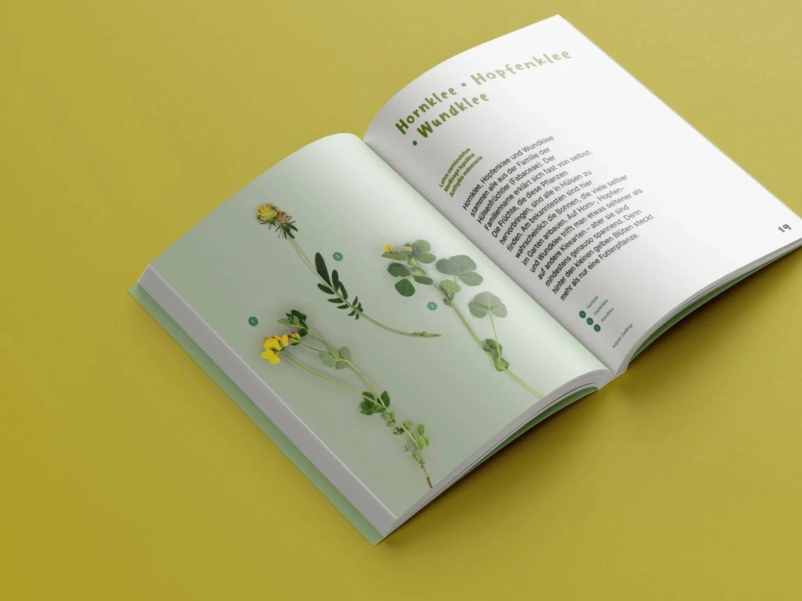 Free_Book_Mockup_6-2-ZW+Kopie.jpg