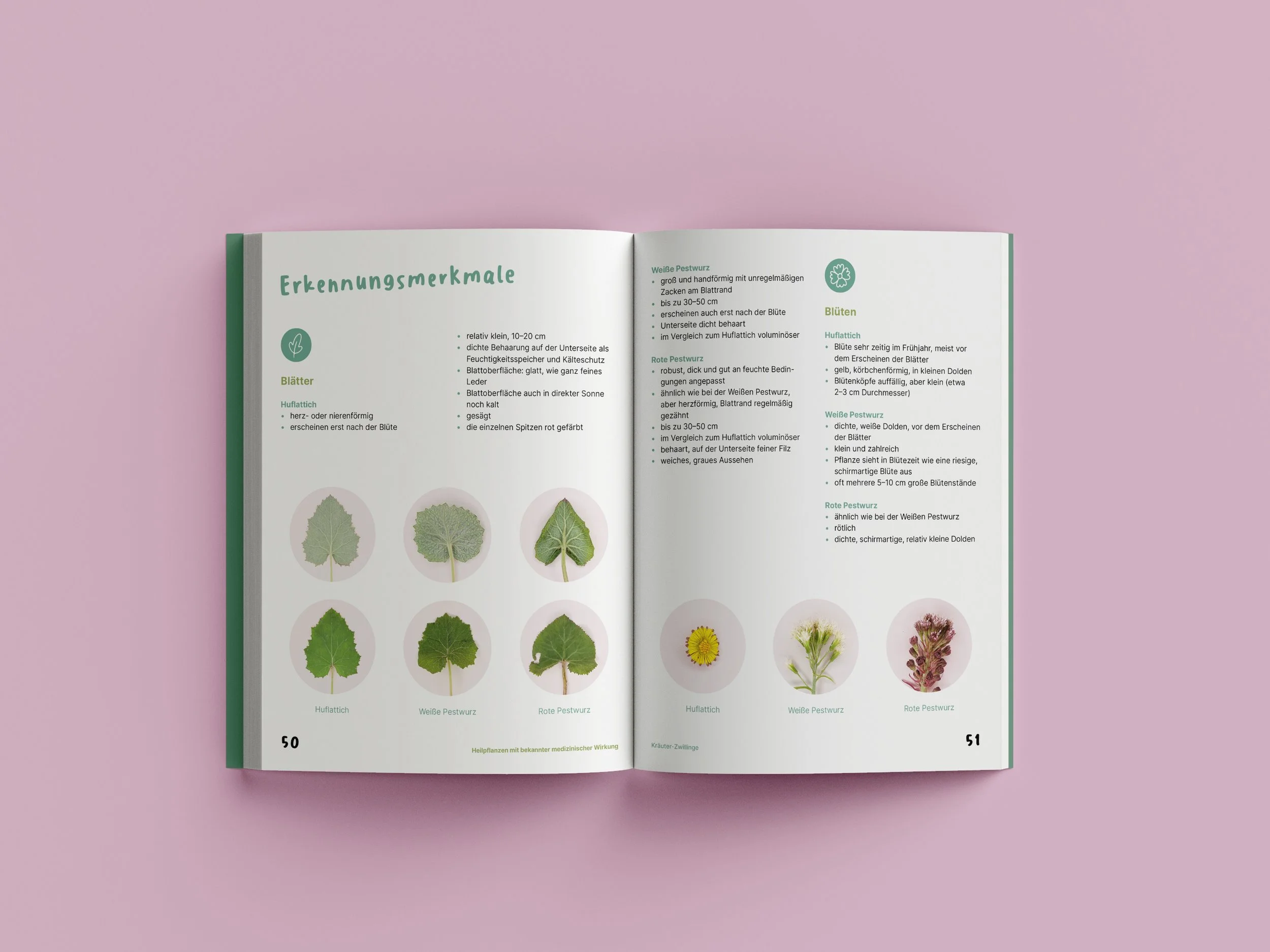 Free_Book_Mockup_7-2-ZW Kopie.jpg