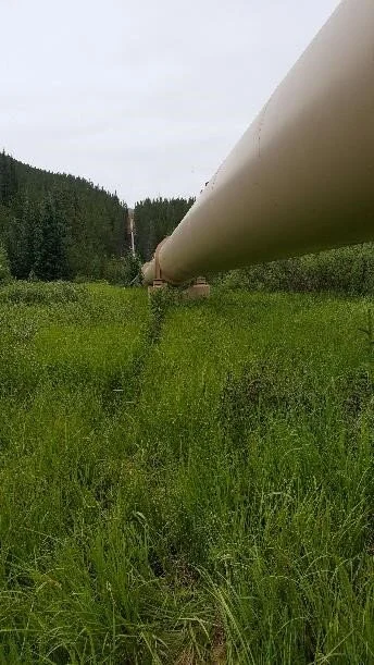 Successful Presentation of Jim Creek Siphon Rehab Project