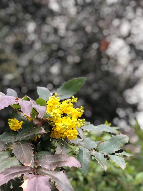 The beauty of the natural