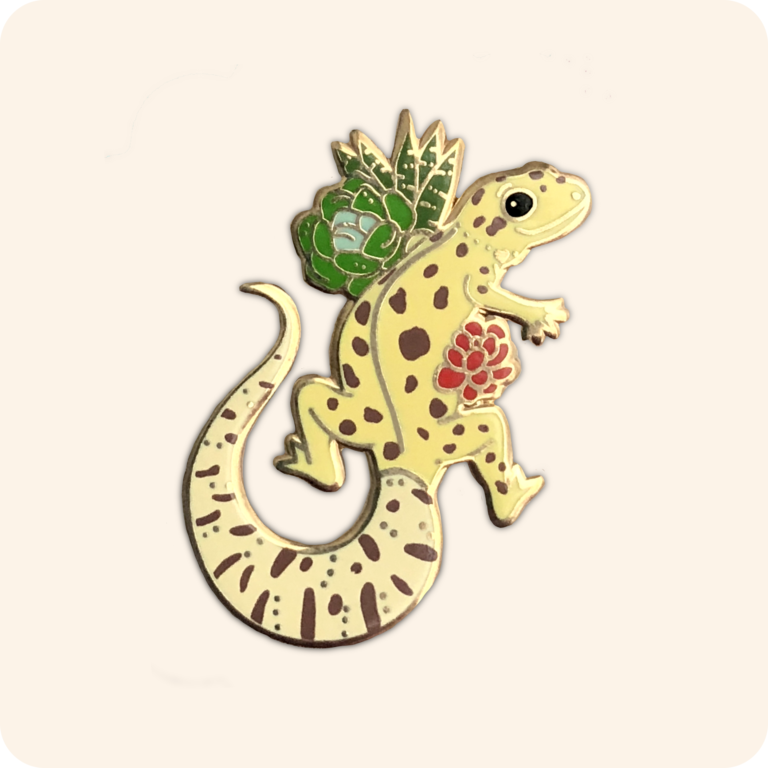 Pin on Leopard gecko