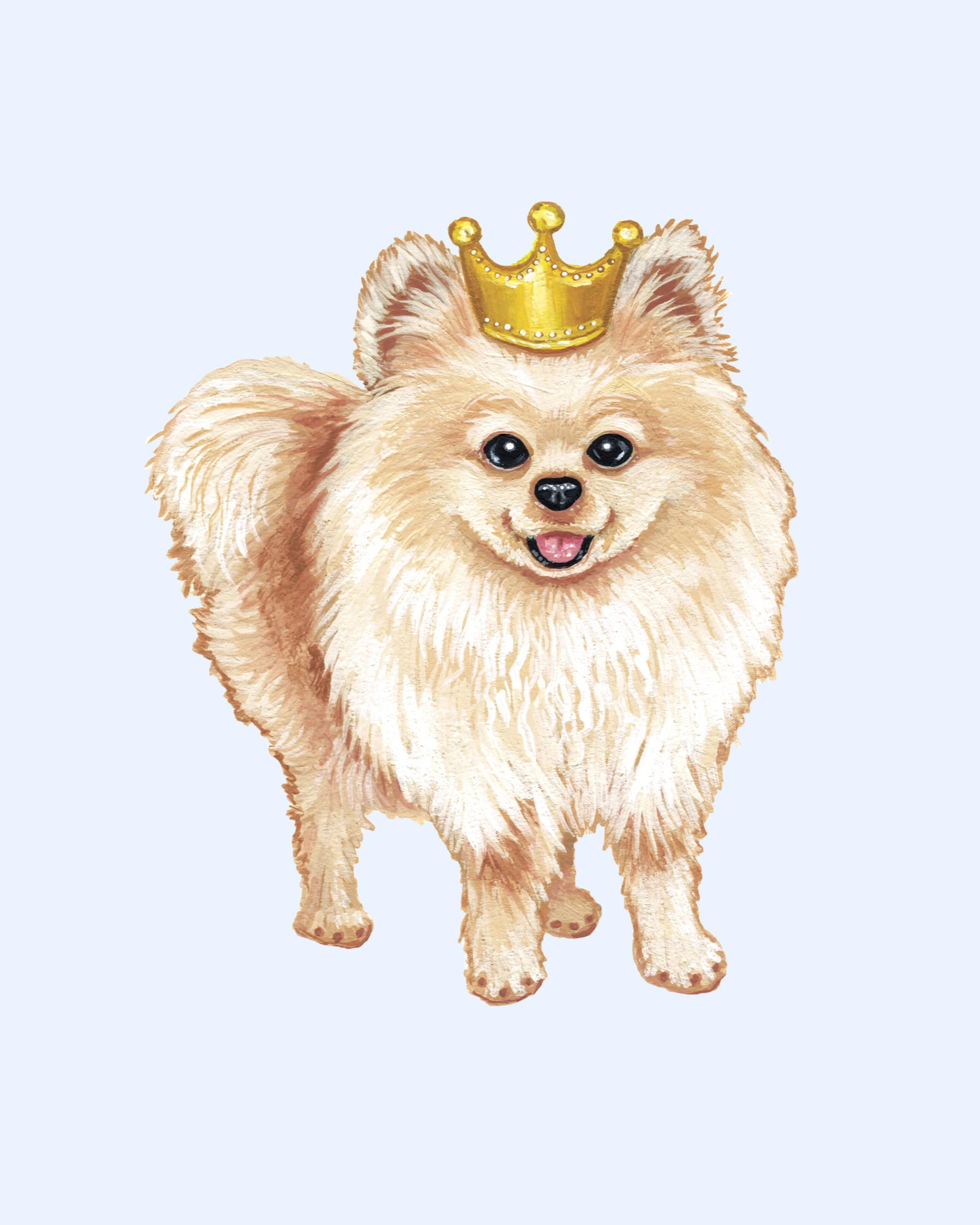 Pom.jpg