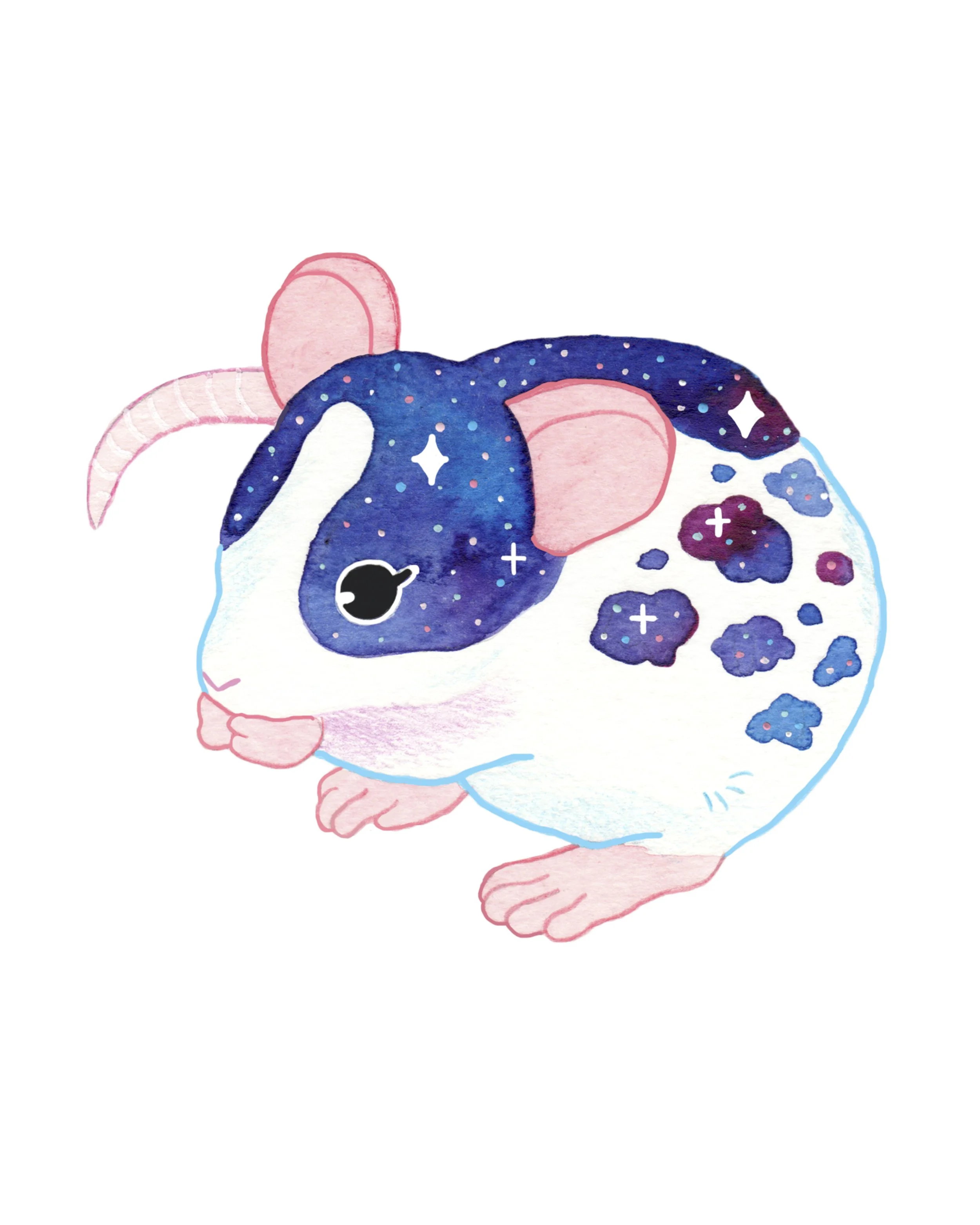 Rat.jpg