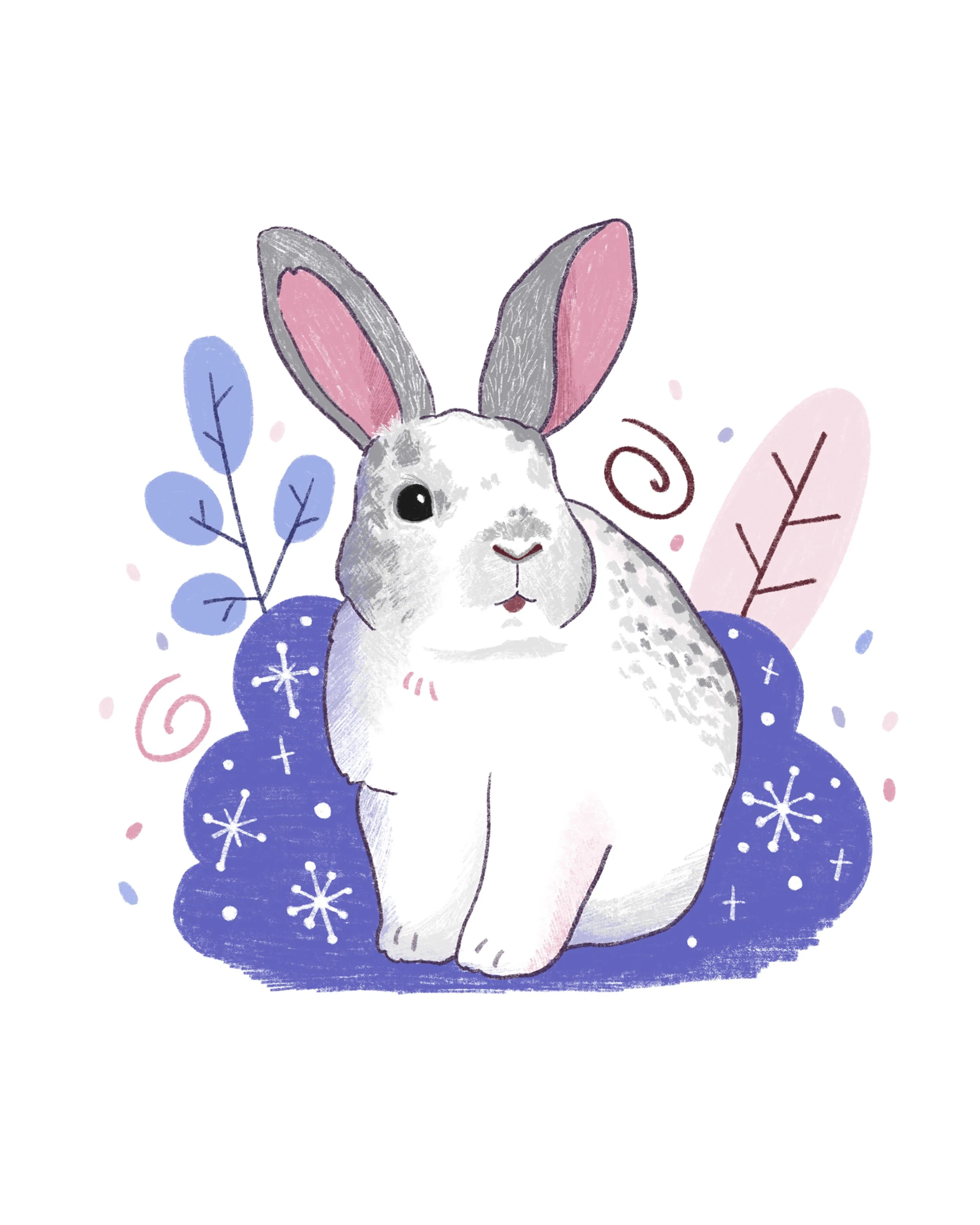Rabbit Winter.jpg