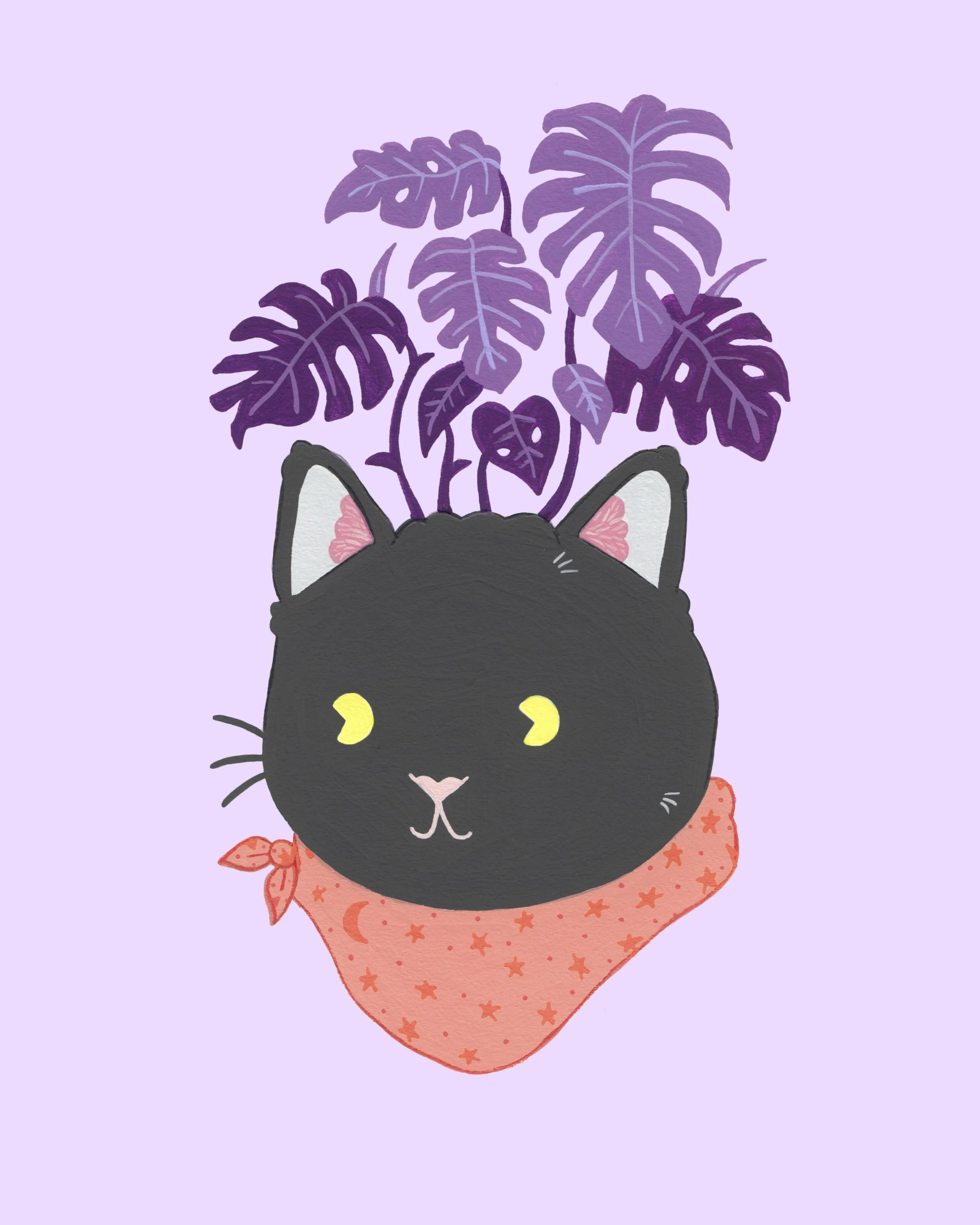cat.jpg