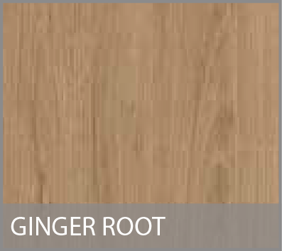 Ginger Root.png