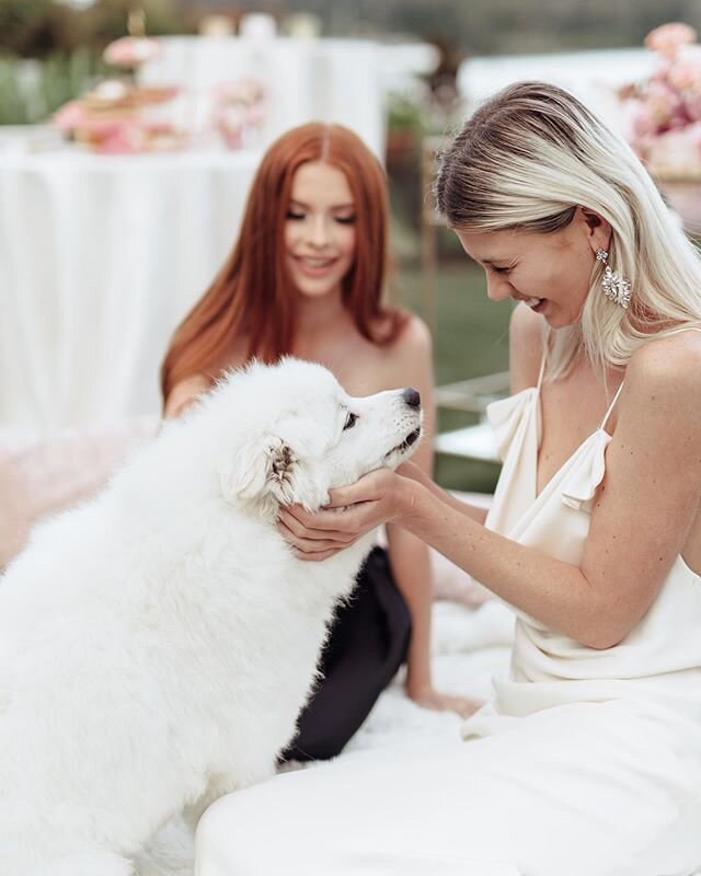 Sending virtual puppy love to all of you! Hope this adorable shoot brightens your day 🤍⁣ ⁣
Design &amp; Planning: @eliteeventsseattle ⁣
Flowers: @oakandfigfloral ⁣
Rentals: @cortpartyrental and @yayparties ⁣
Linens and Chargers: @bbjlinen ⁣
Paper it