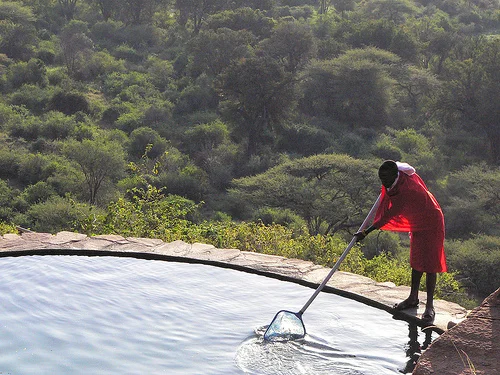 cleaning_the_pool.jpg