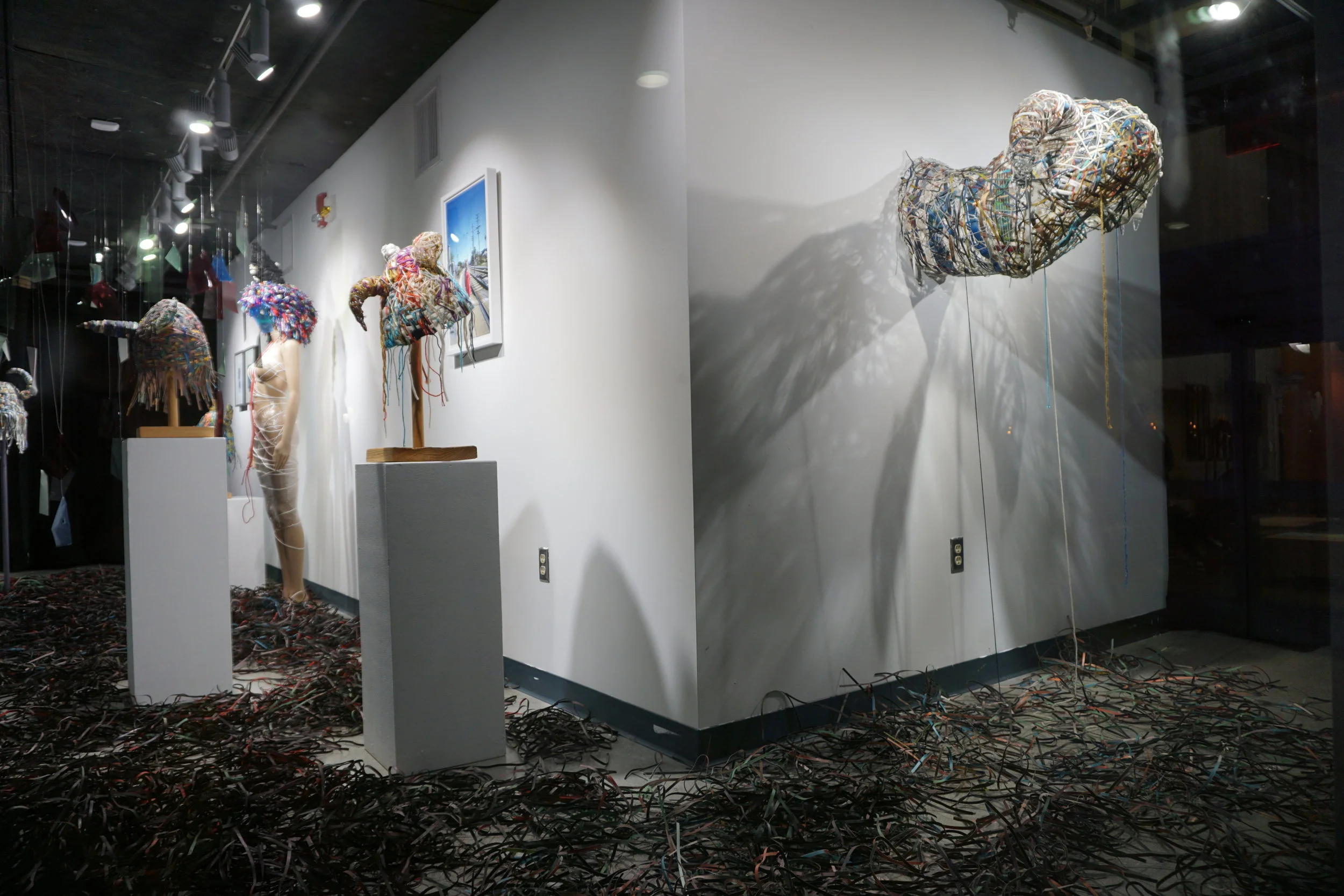 Beautiful Creatures installation at Cerritos College Gallery
