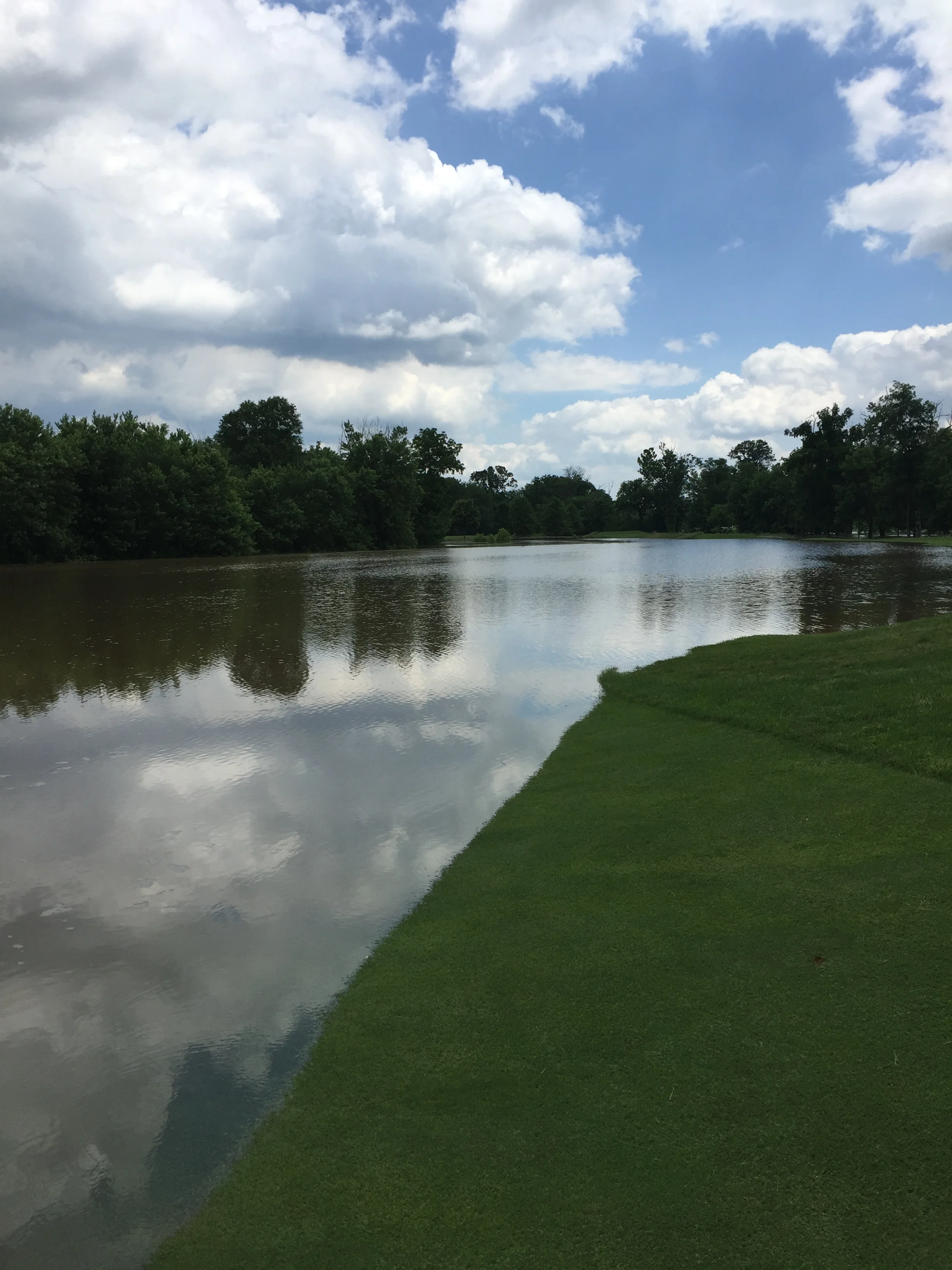 The river bank is behind the tree line