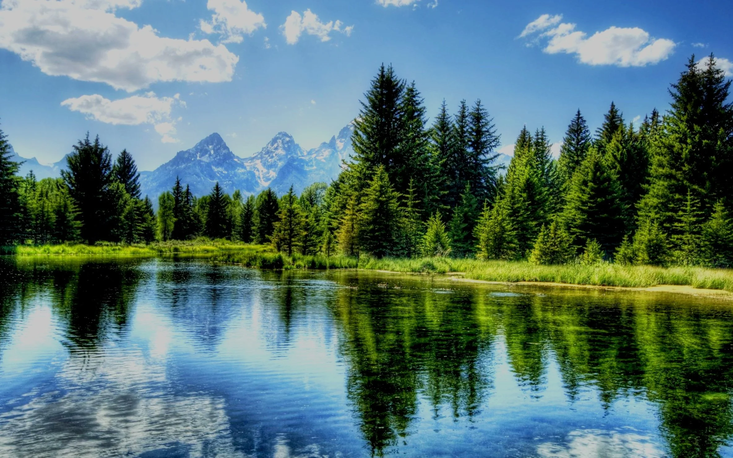 landscape photo.jpg
