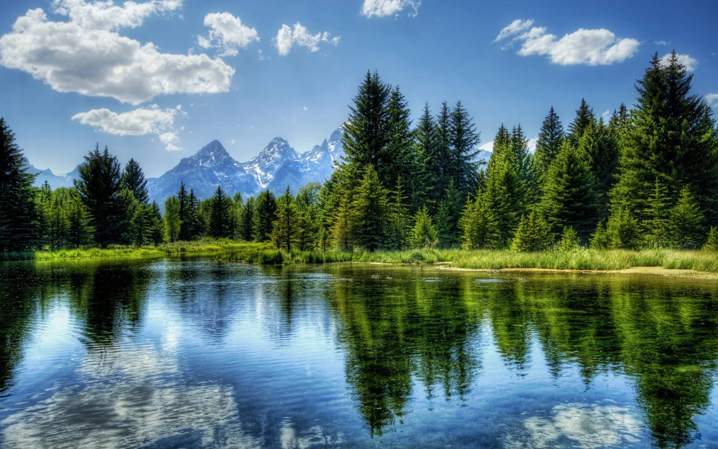 landscape photo.jpg