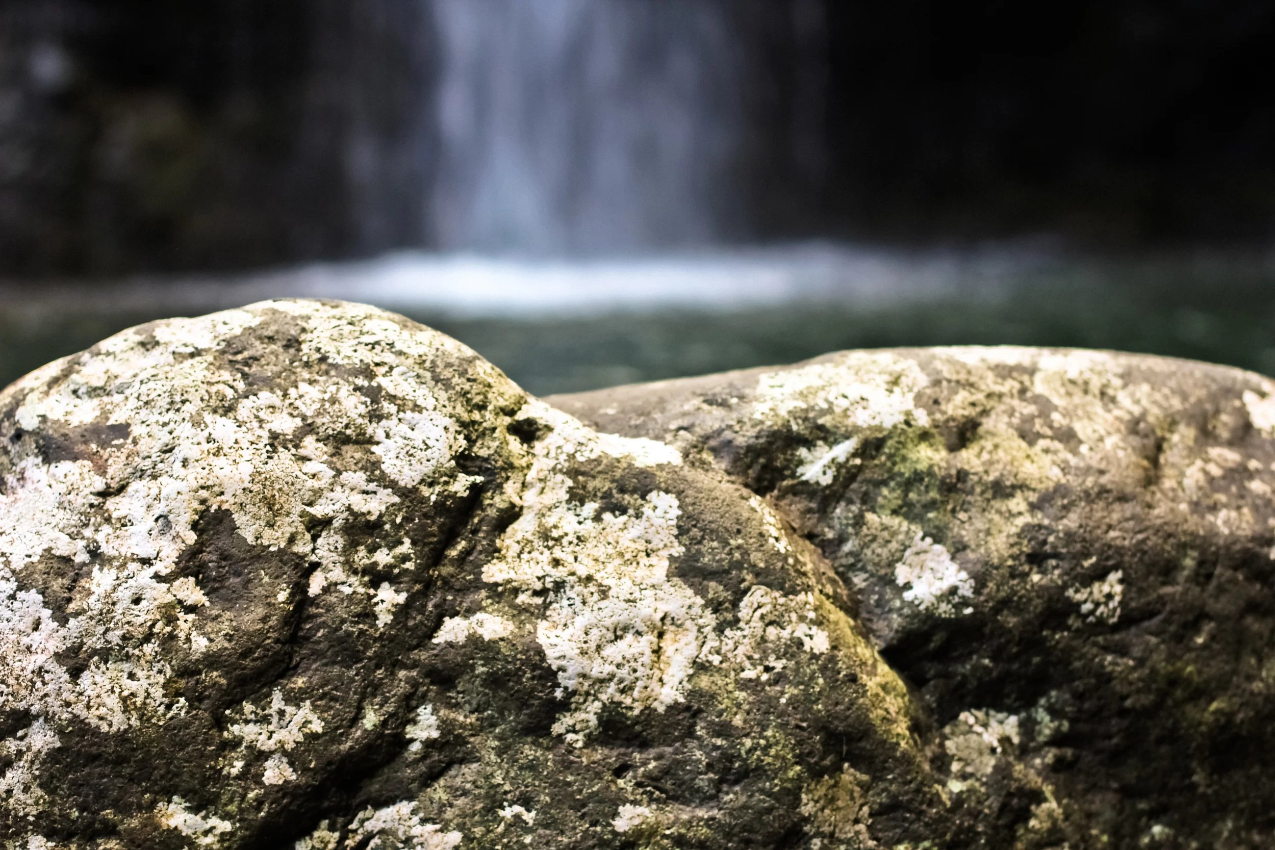 untitled-0444.jpg