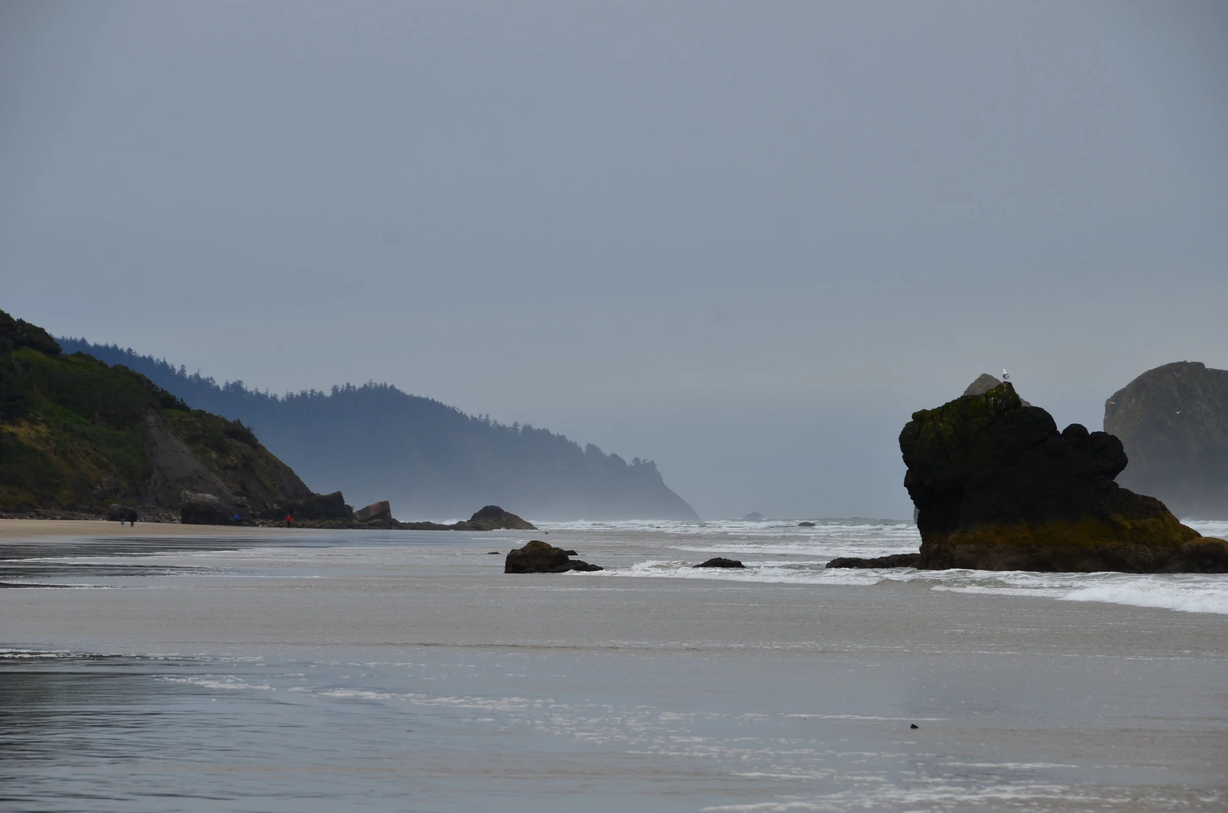 DSC_1335.JPG
