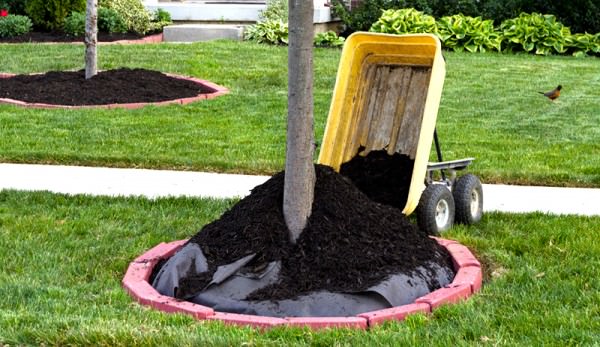 mulch.jpg