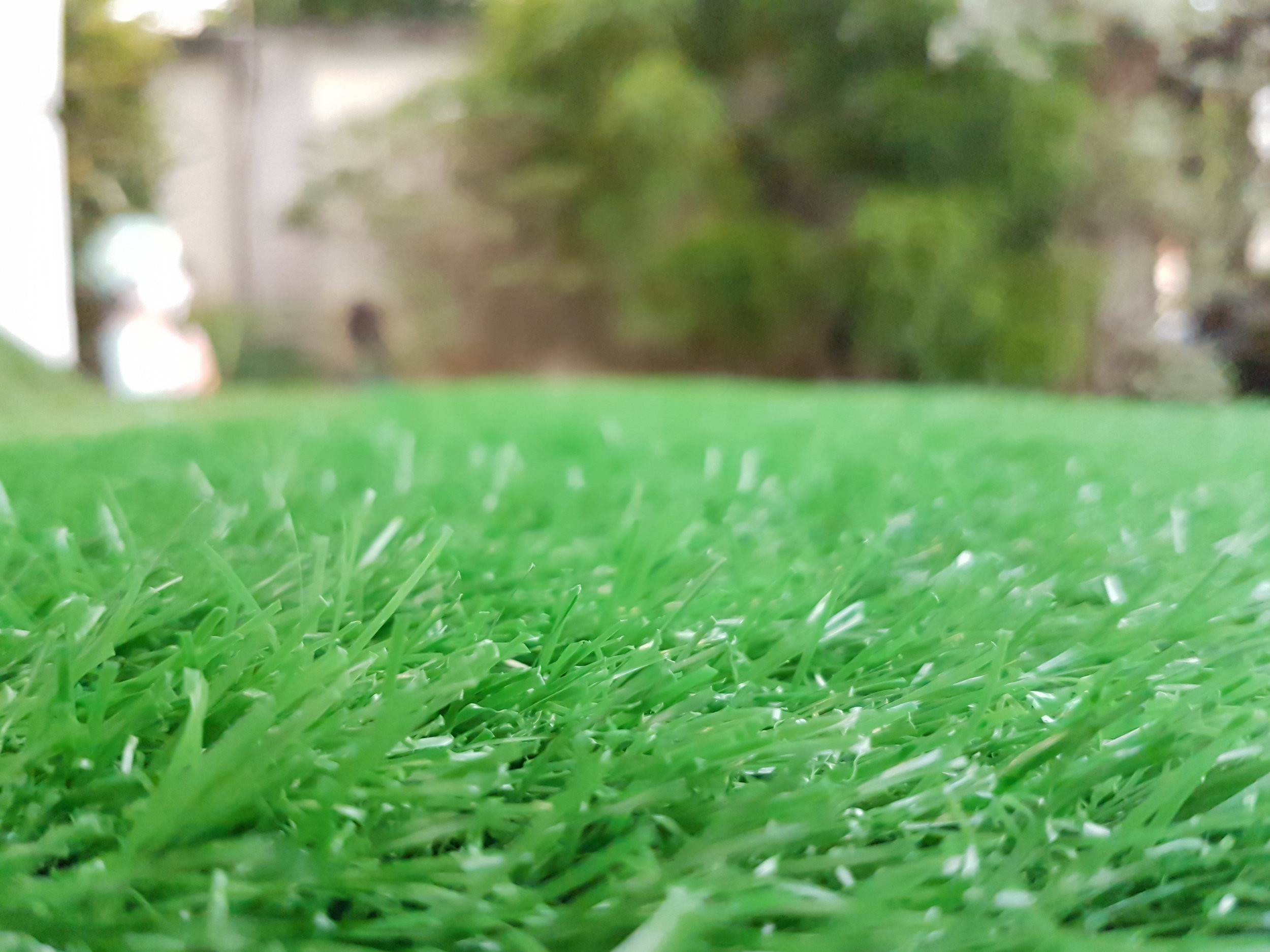 bigstock-The-Green-Artificial-Grass-Dec-214577113.jpg