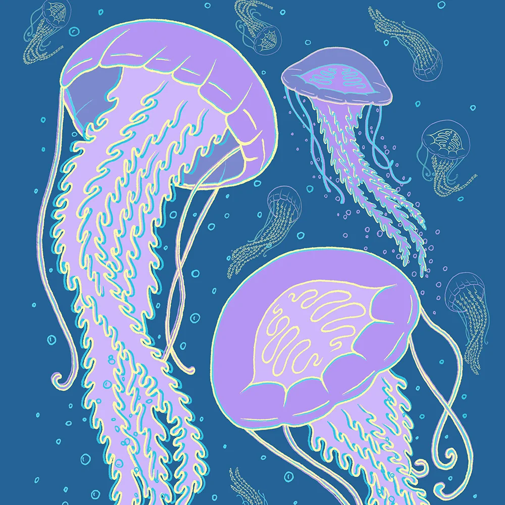 thumb jelly.jpg