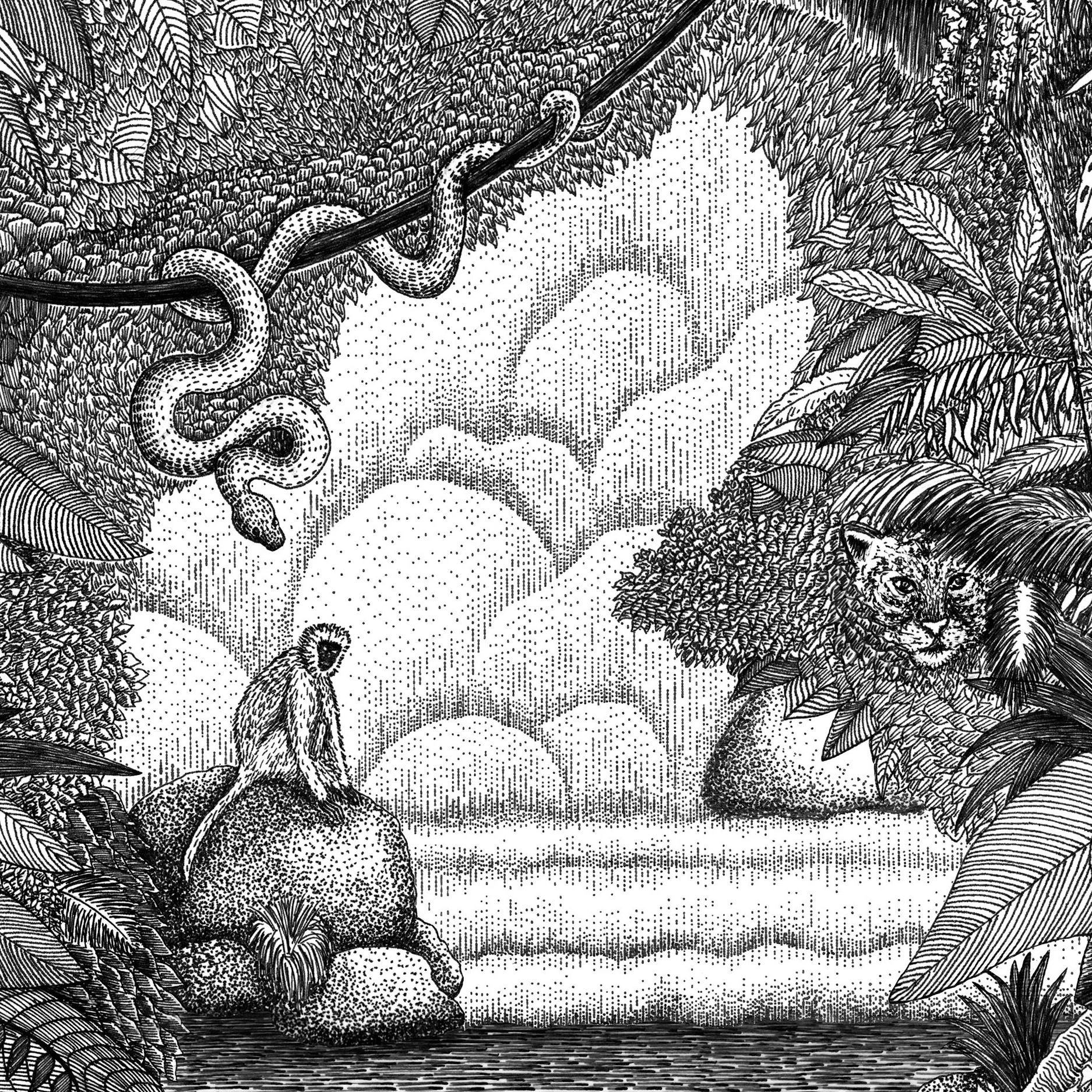 thumb jungle3.jpg