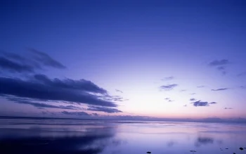 ocean_main page.jpg