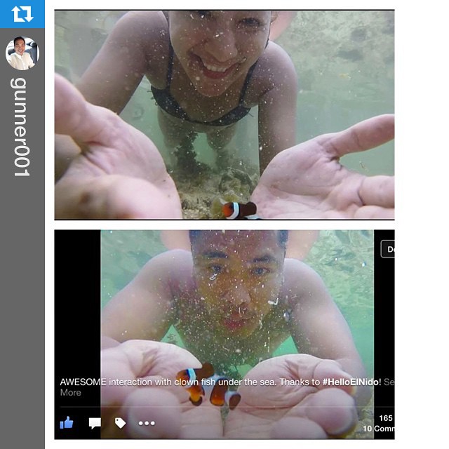 #Repost @gunner001 with @repostapp. ・・・ #igotskillz #findingnemo #nemo #clownfish #gopro #helloelnido #elnido #wanderlust #palawan #philippines 🇵🇭🐠👌