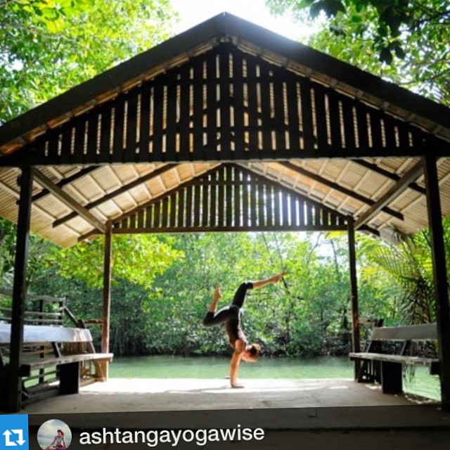 #Repost @ashtangayogawise with @repostapp. ・・・ &quot;Yoga was designed to stun the mind into silence&quot;. Richard Freeman 
I came across an old journal of mine with notes in it from workshops I'd attended many years ago.  This was a nice reminder b