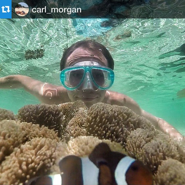 #Repost @carl_morgan with @repostapp. ・・・ #elnido #palawan #philipines #itsmorefuninthephilippines #snorkelling #underwaterphoto #nature #nemo #clownfish #ocean #swimming #goprooftheday #goprohero3 #awesome #southeastasia #bacuitbay #beautiful #aweso