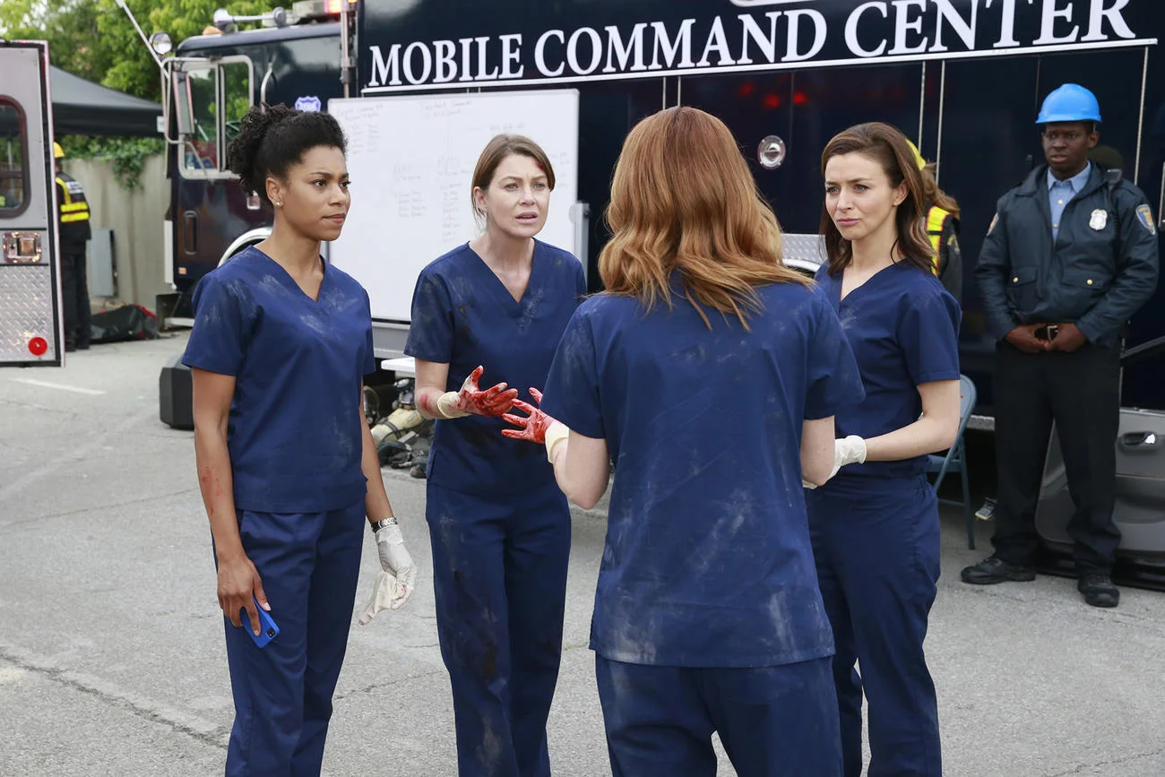 GREYS ANOTOMY (TV series)
