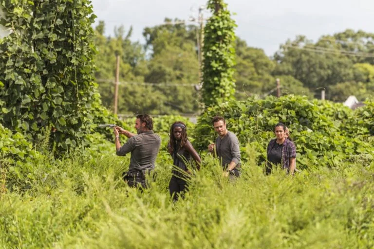 Rick, Michonne, Aaron and Tara scope out a field