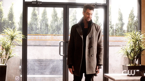 the flash 312.gif