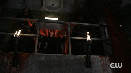 The 100 501.gif
