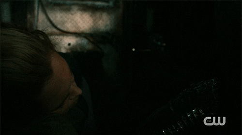 The 100 501 4.gif