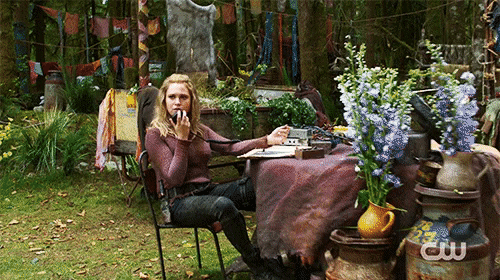 The 100 501 2.gif