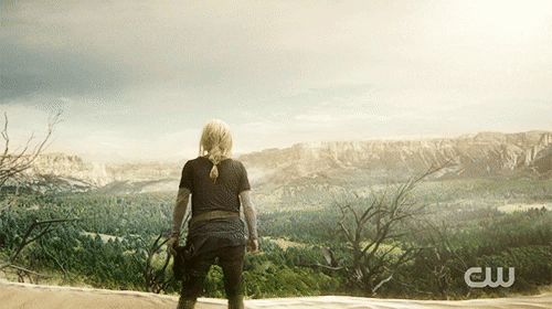 The 100 501 3.gif