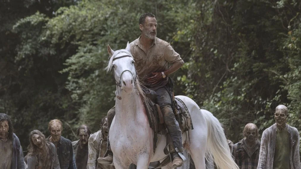 TWD 905 8.jpg