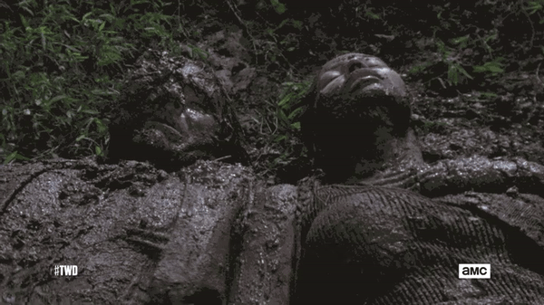 TWD 906 8.gif