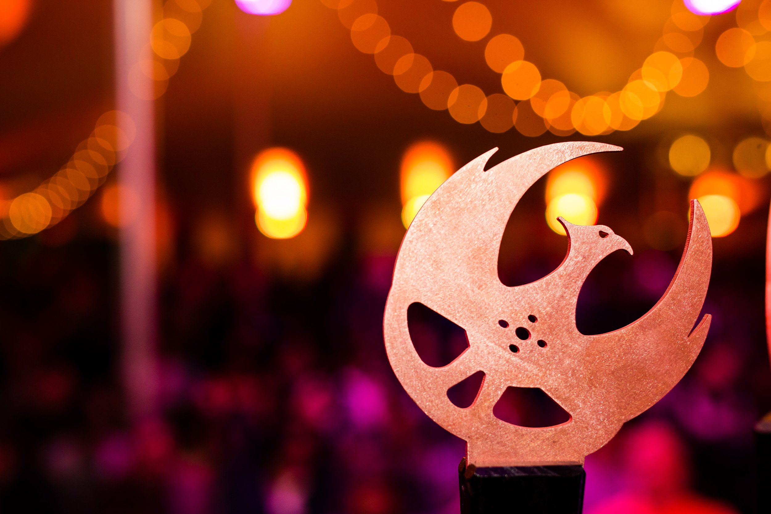 PhoenixFilmFestival-CopperWingAwards-2016-15.jpg