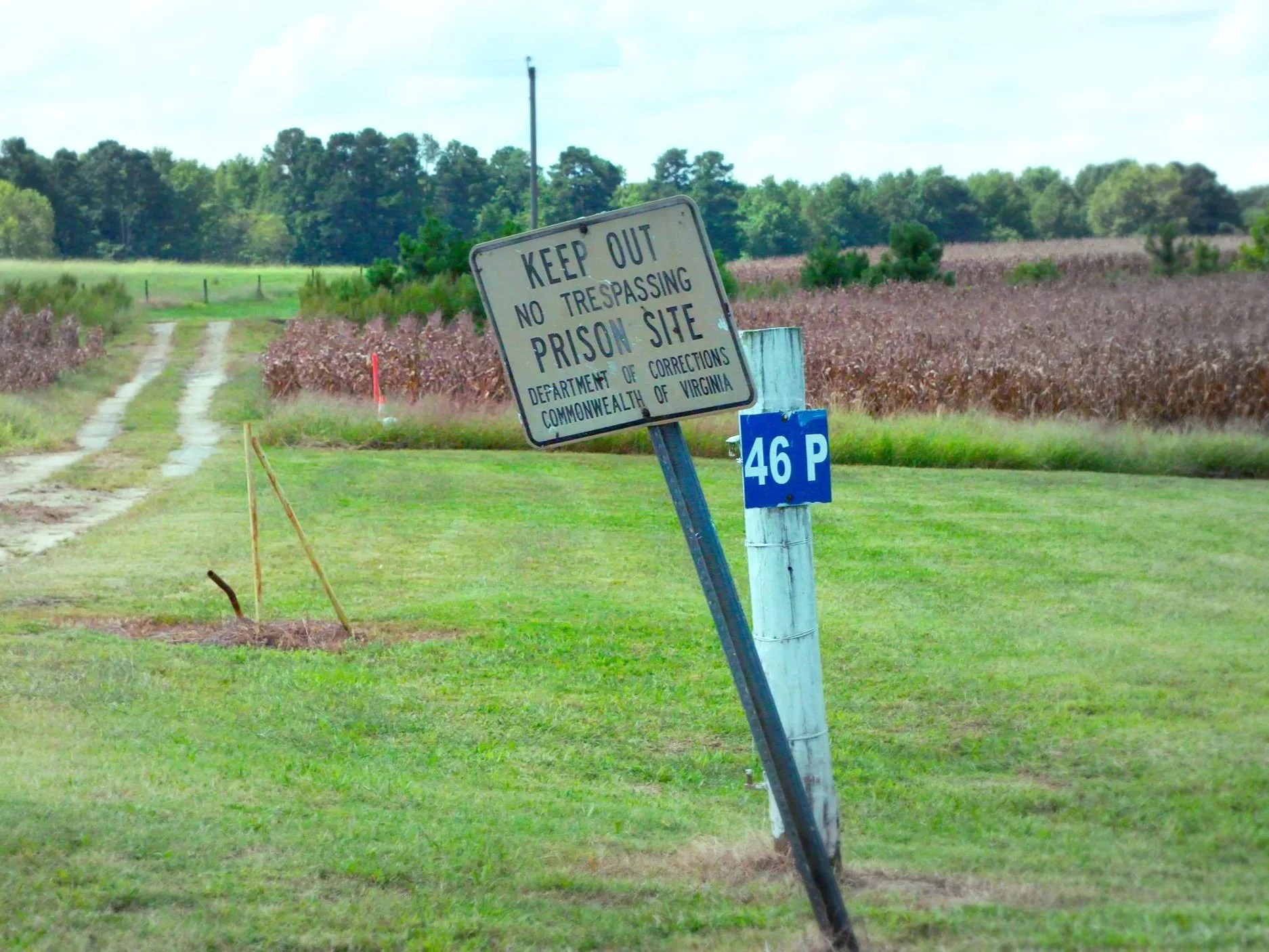 Best Experimental Short