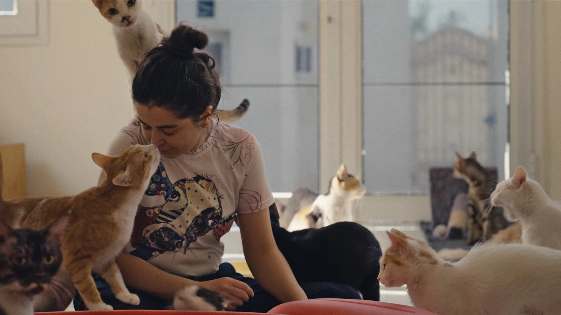 lana_malkawi_with_special_needs_cats_by_patrick_ouziel.jpg