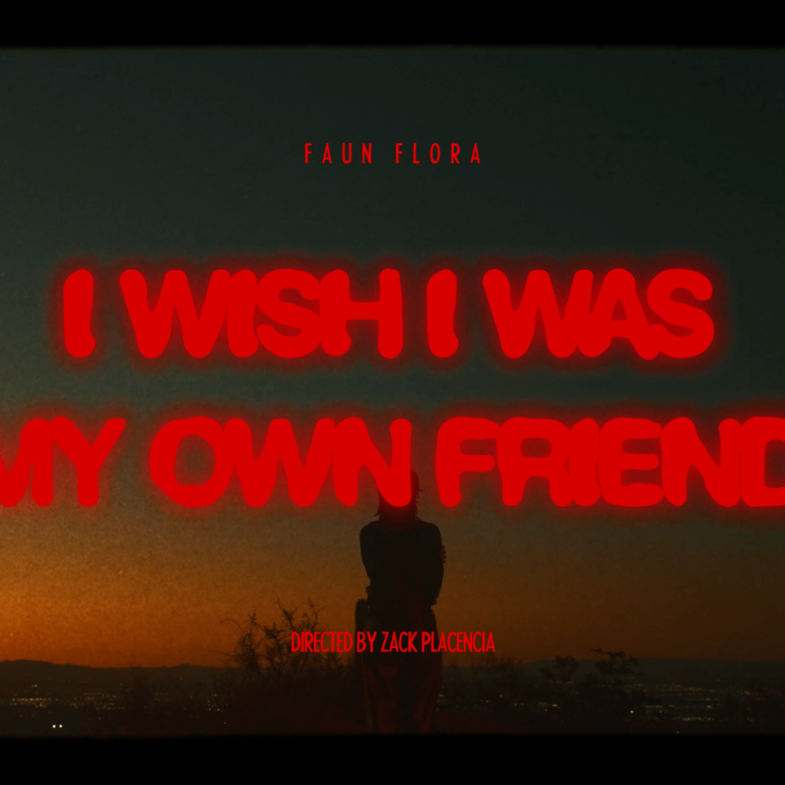 I Wish I Was My Own Friend