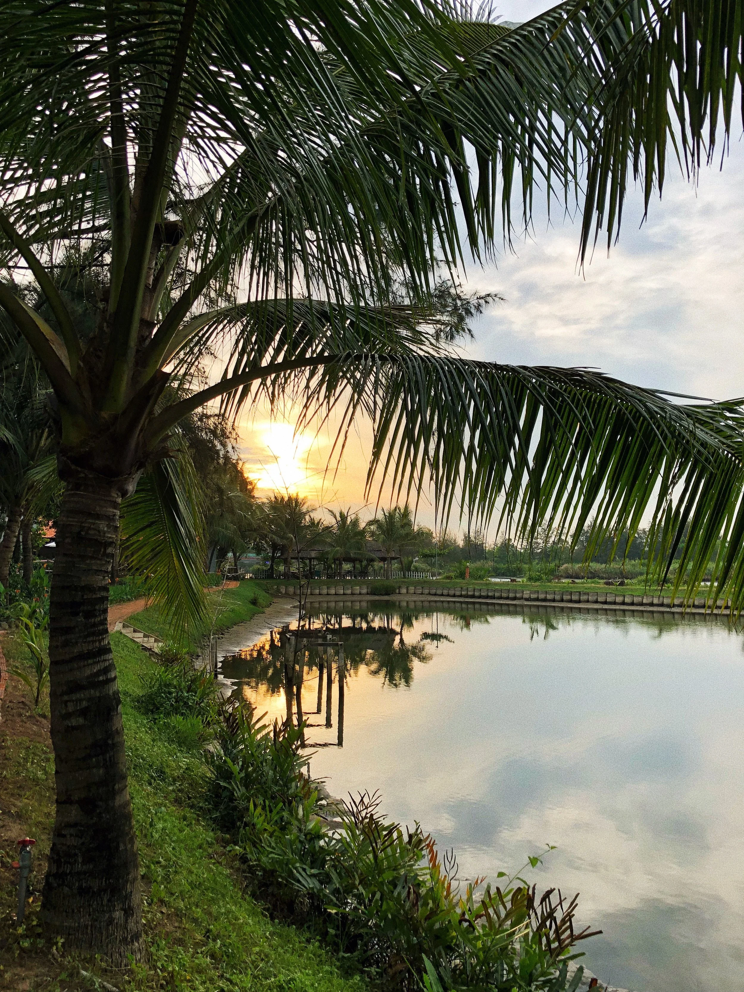 Home Again in Vietnam
