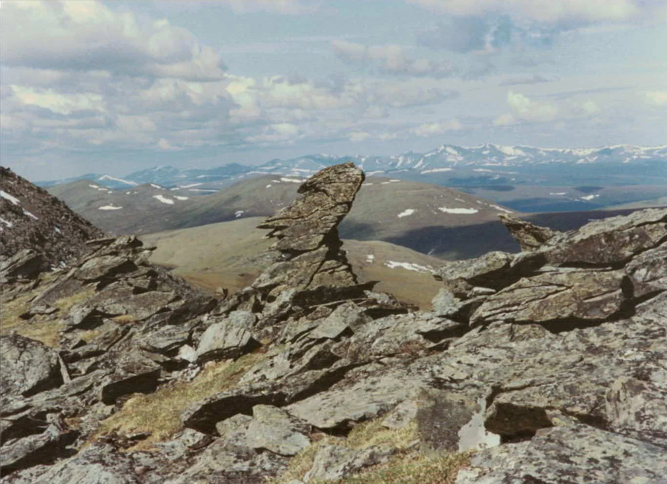 THE WATCHER, PINNELL MOUNTAIN TRAIL