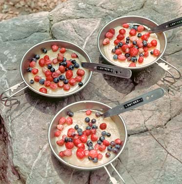 RED, WHITE, AND BLUEBERRY PUDDING